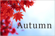 Autumn Offers 2010
