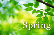 Spring Offers 2010